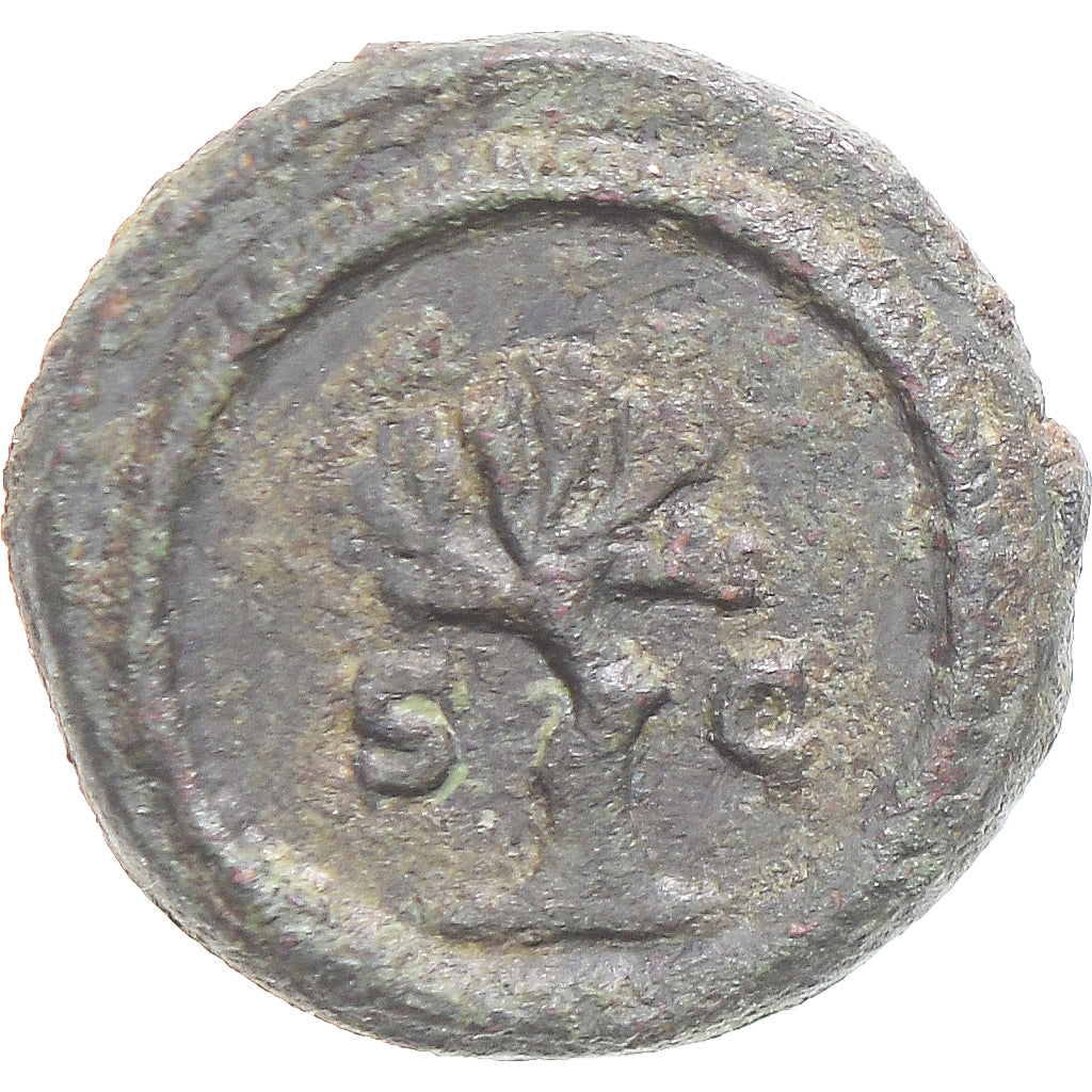 minca, 
  
  Antoninus Pius, 
  
  Kvadrany