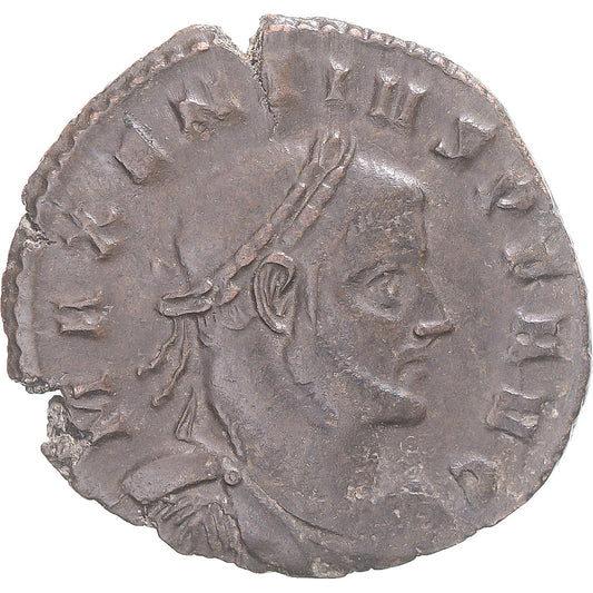 minca, 
  
  Maxentius, 
  
  Bronz Æ