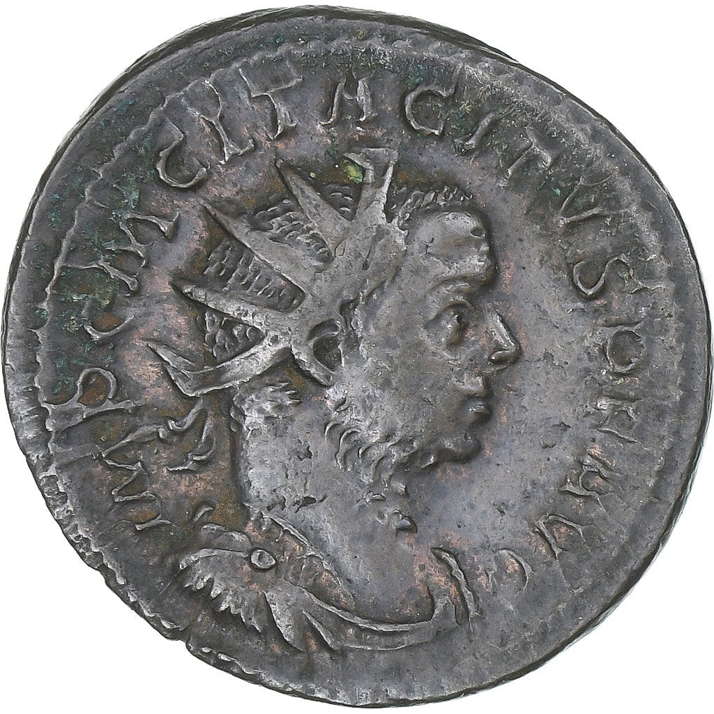 Tacitus, 
  
  Antoninianus, 
  
  275-276