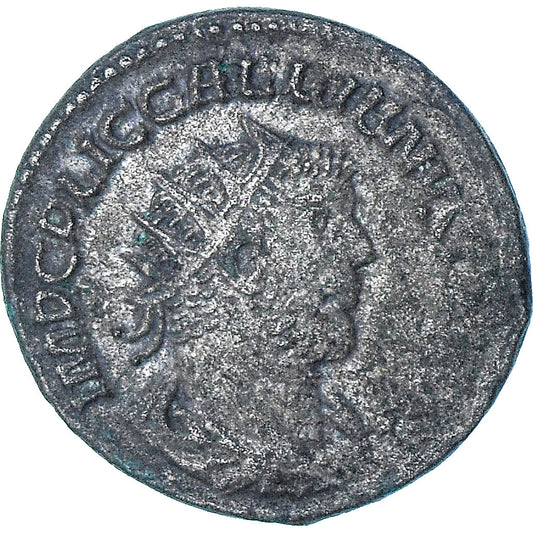 Gallienus, 
  
  Antoninianus, 
  
  255-256