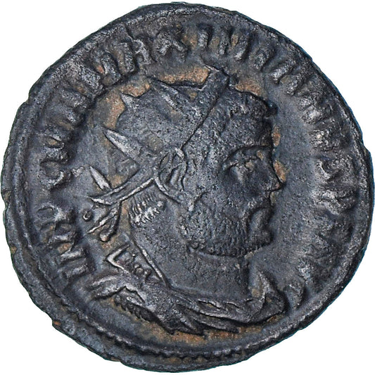 Maximianus, 
  
  Æ vyžarovací zlomok, 
  
  295-299