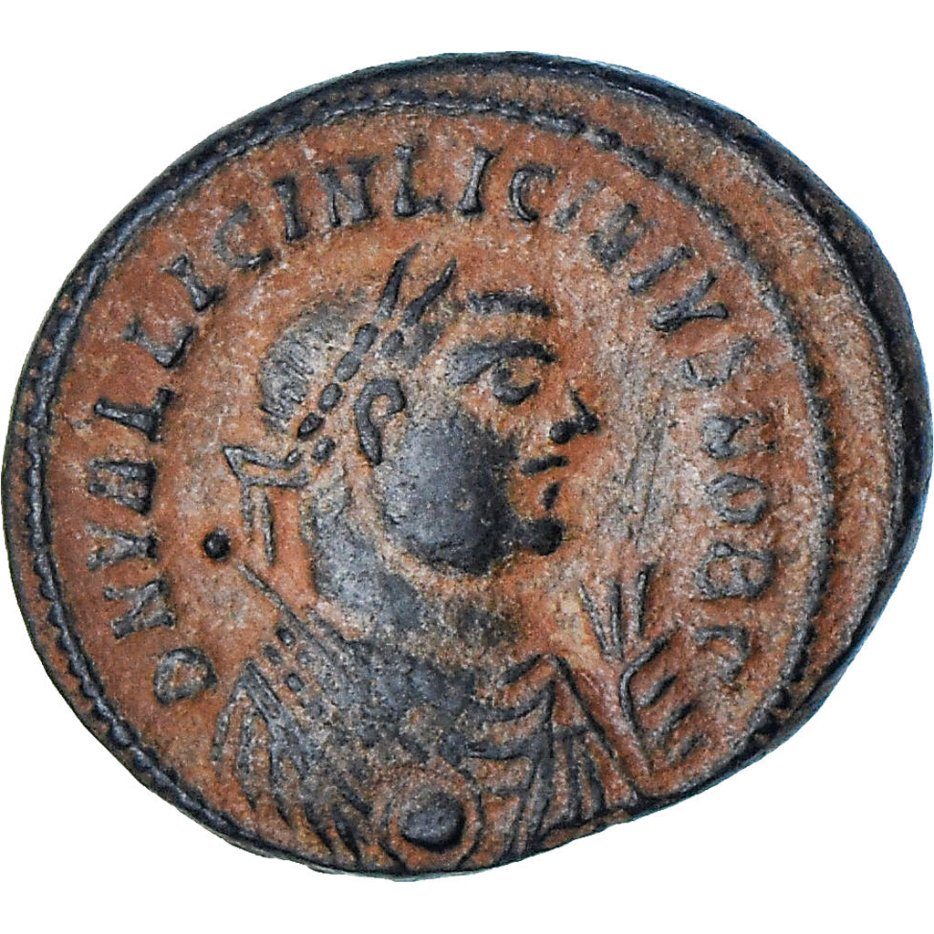 Licinius II. 
  
  Follis, 
  
  318-320