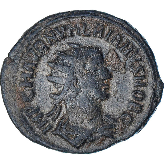 Numerian, 
  
  Aurelianus, 
  
  282-283