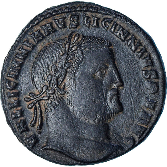 Licinius I. 
  
  Follis, 
  
  309-310