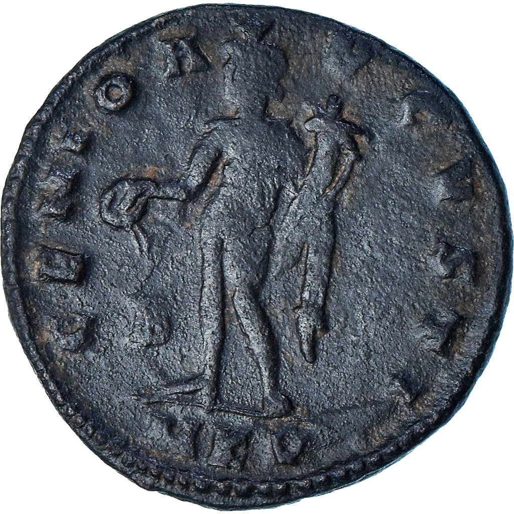 Licinius I. 
  
  Follis, 
  
  309-310