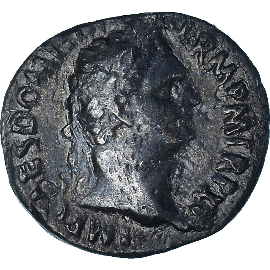 Domitian, 
  
  denár, 
  
  95-96