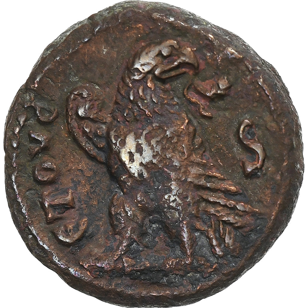 Egypt, 
  
  Severina, 
  
  Tetradrachm