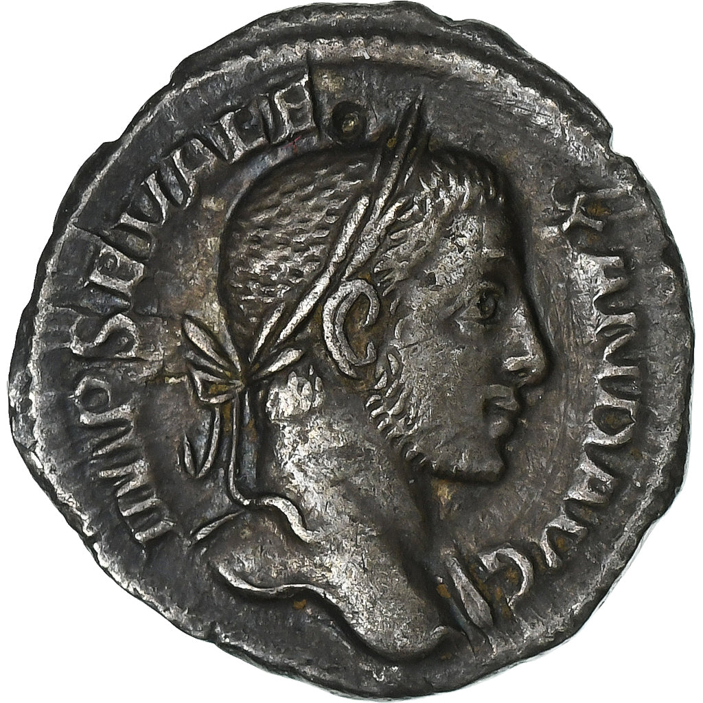 Severus Alexander, 
  
  denár, 
  
  229