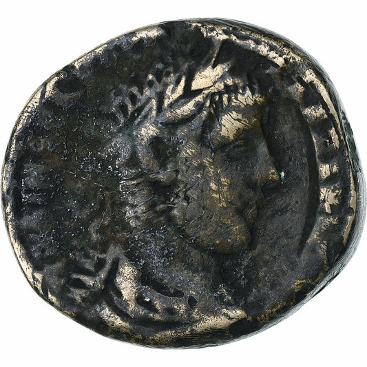 Egypt, 
  
  Severus Alexander, 
  
  Tetradrachm