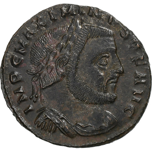 Maximinus II, 
  
  Follis, 
  
  312-313