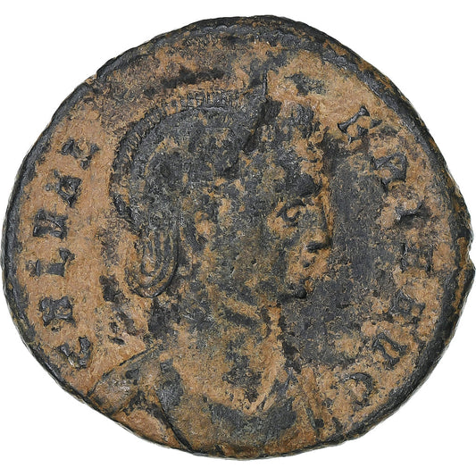 Galeria Valeria, 
  
  Follis, 
  
  310