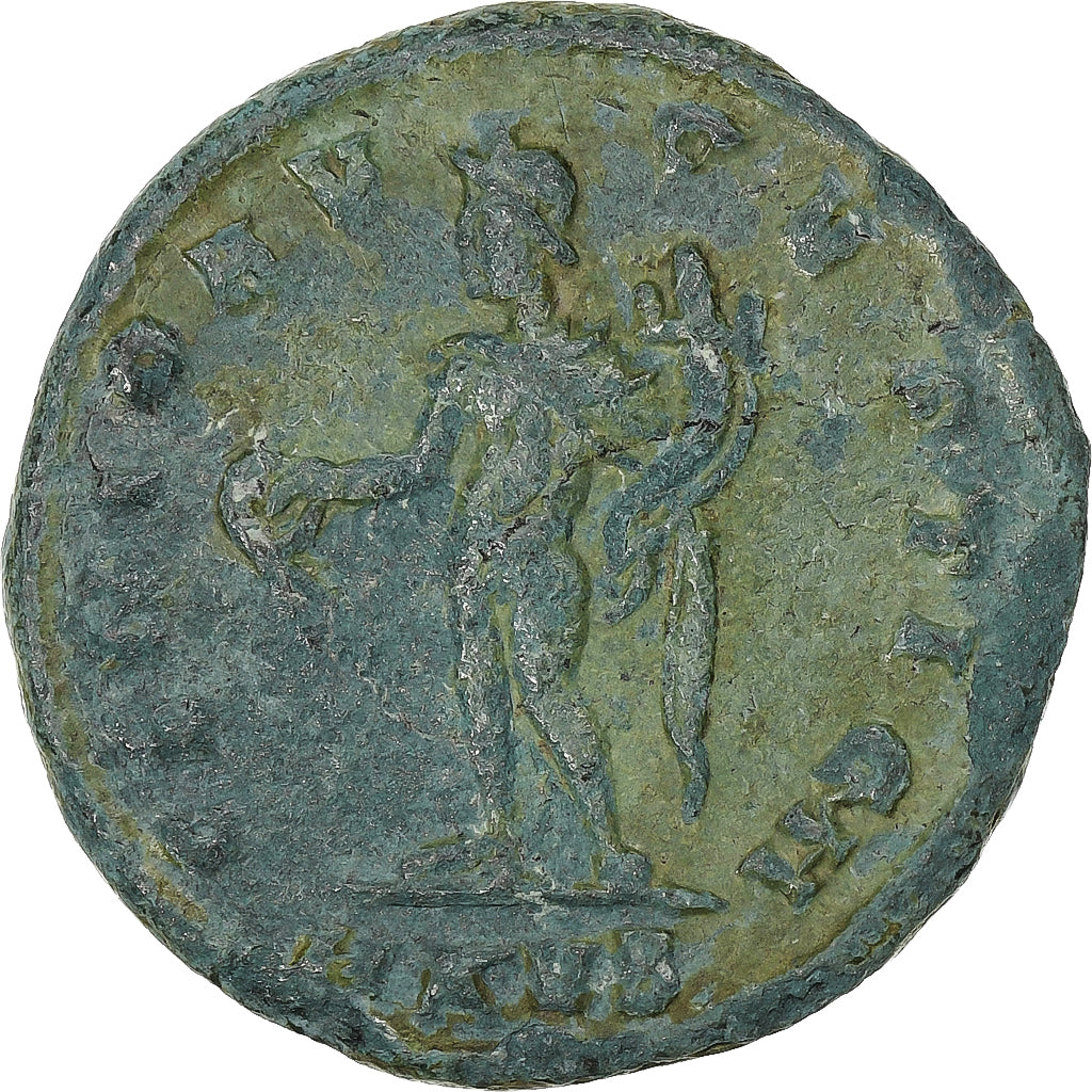 Maximinus II, 
  
  Follis, 
  
  311