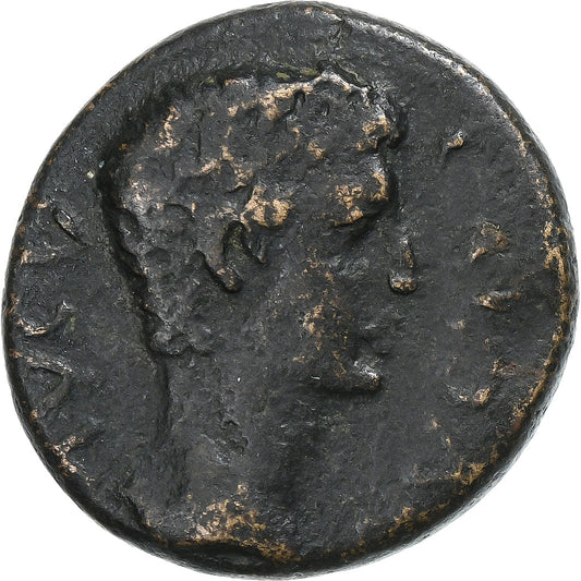 Corinthia, 
  
  Caligula, 
  
  Æ Jednotka