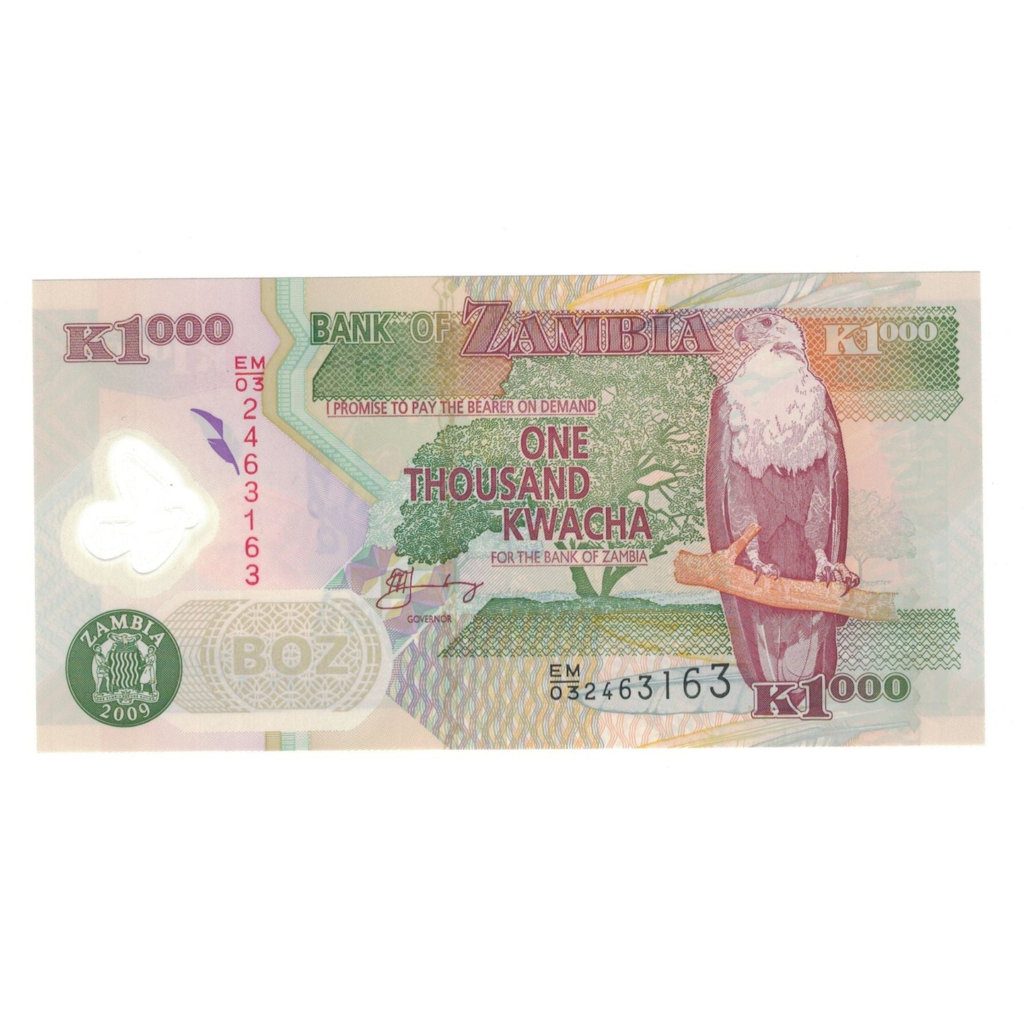 bankovka, 
  
  Zambia, 
  
  1000 kwacha