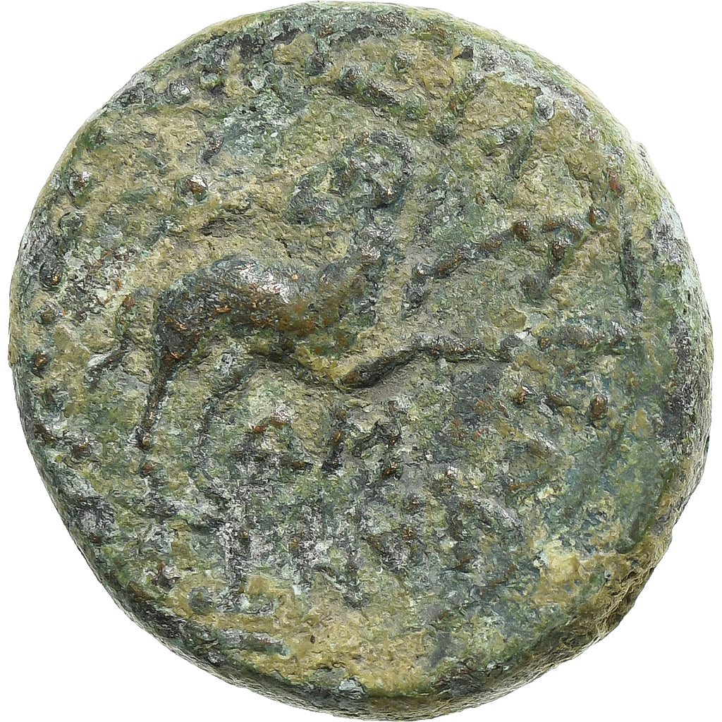 Seleucis a Pieria, 
  
  Augustus, 
  
  Æ Jednotka