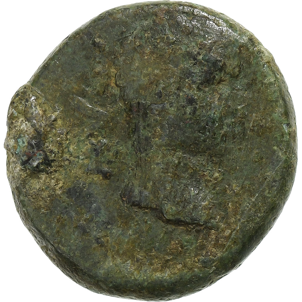 Troas, 
  
  Augustus, 
  
  Æ Jednotka