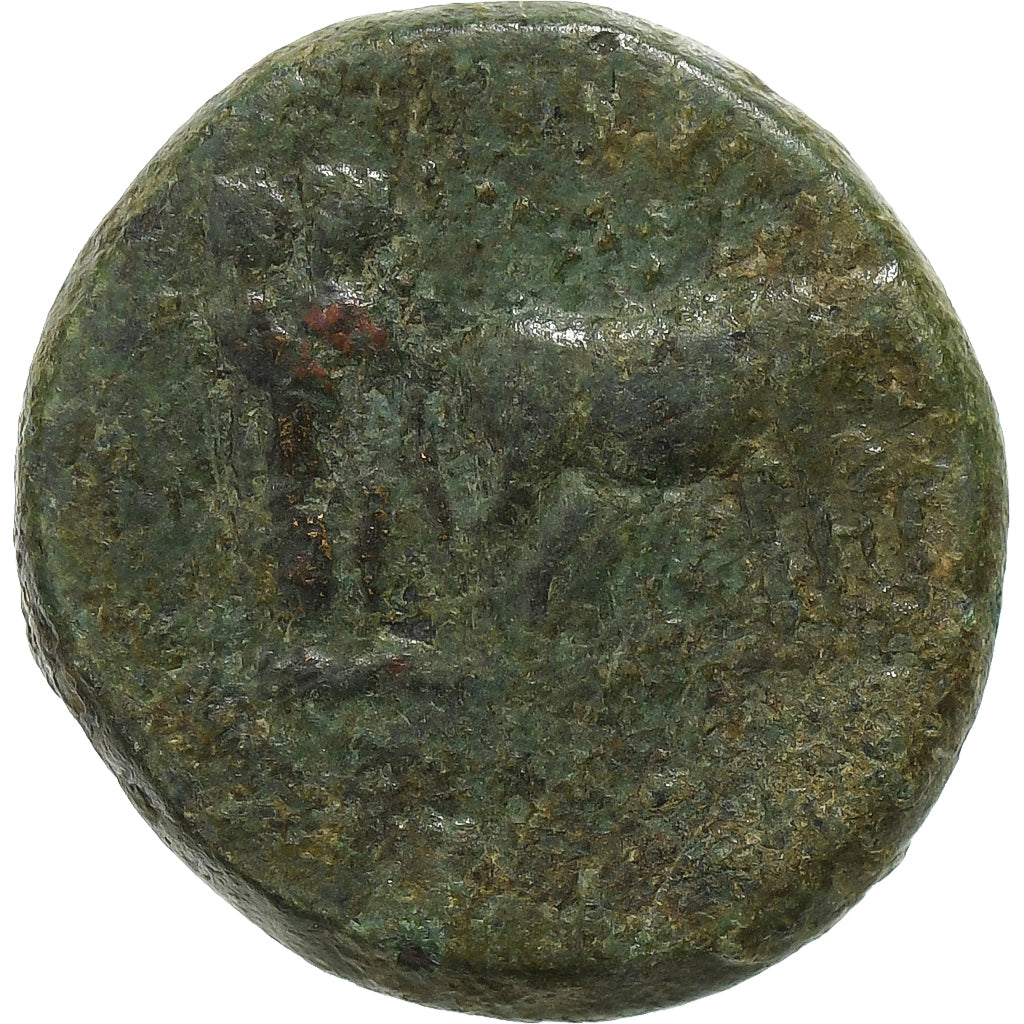 Troas, 
  
  Augustus, 
  
  Æ Jednotka