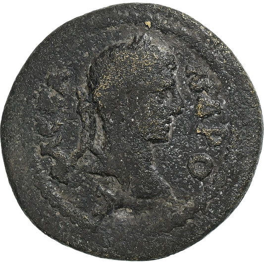 Caria, 
  
  Severus Alexander, 
  
  Æ Jednotka