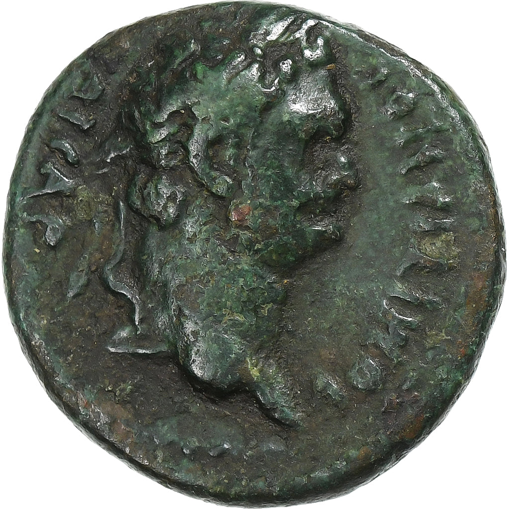 Pamphylia, 
  
  Domitian, 
  
  Æ Jednotka