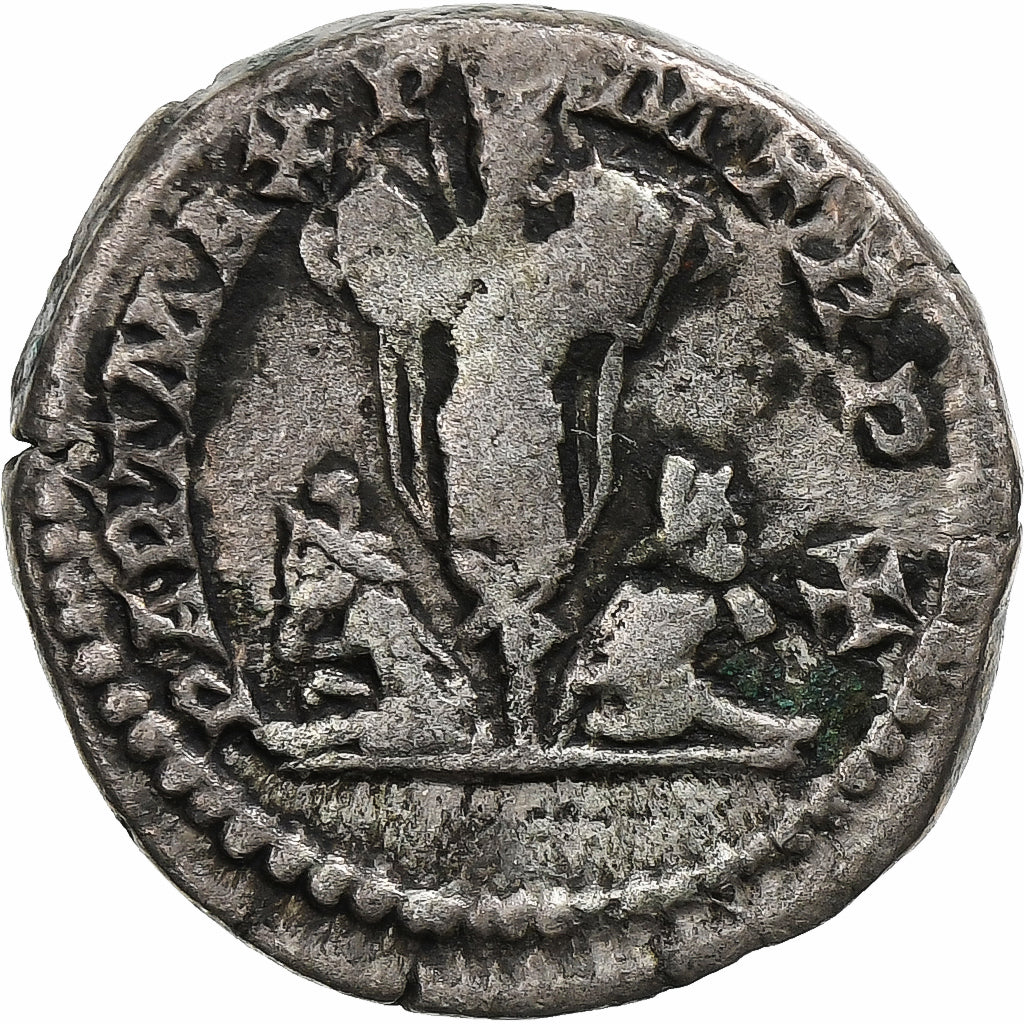 Septimius Severus, 
  
  denár, 
  
  202