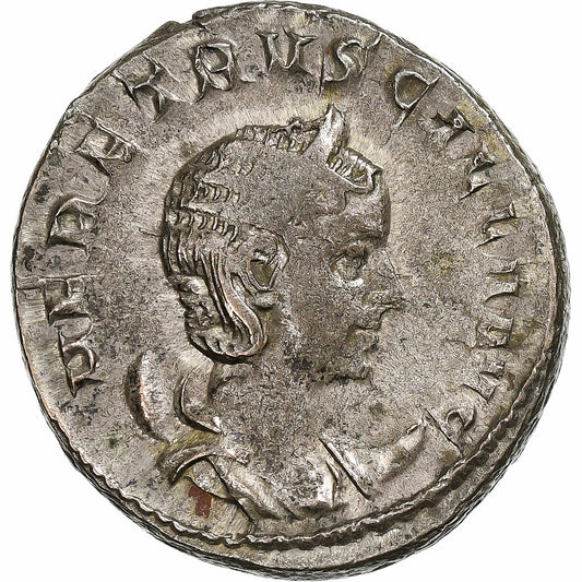 Herennia Etruscilla, 
  
  Antoninianus, 
  
  249-251