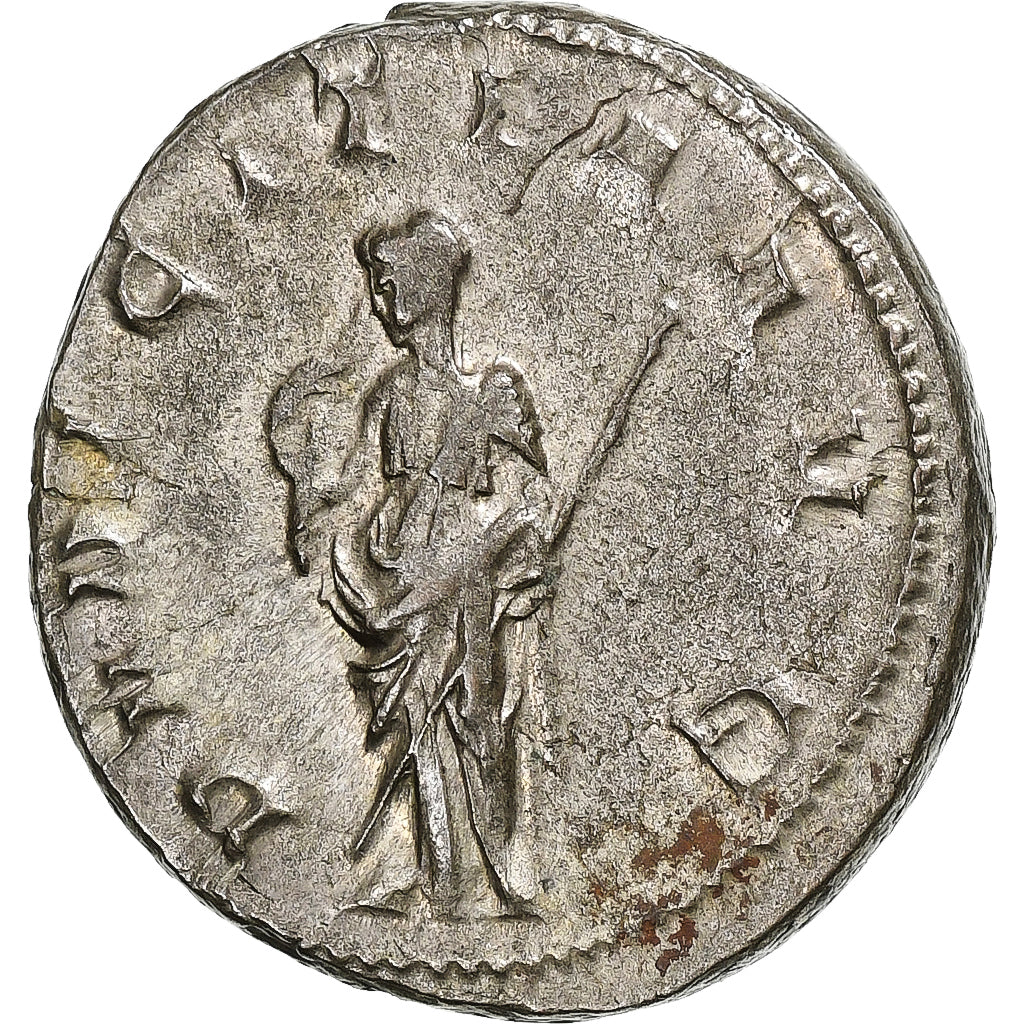 Herennia Etruscilla, 
  
  Antoninianus, 
  
  249-251