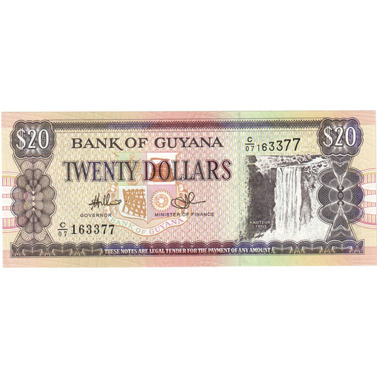 Guyana, 
  
  20 dolárov, 
  
  Nedatované (1996)