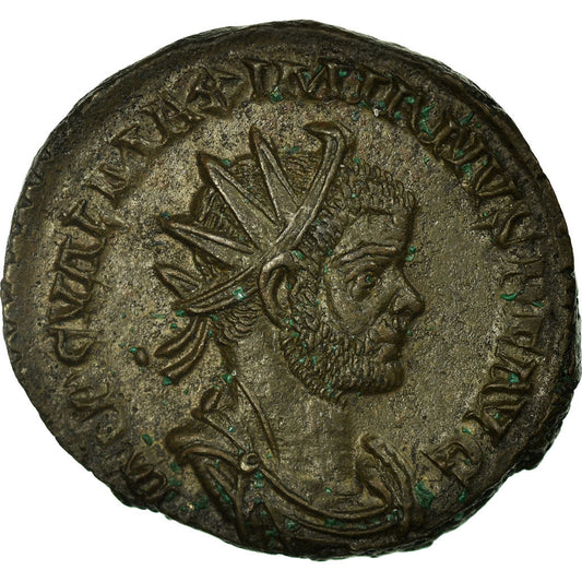 minca, 
  
  Maximianus, 
  
  Antoninianus