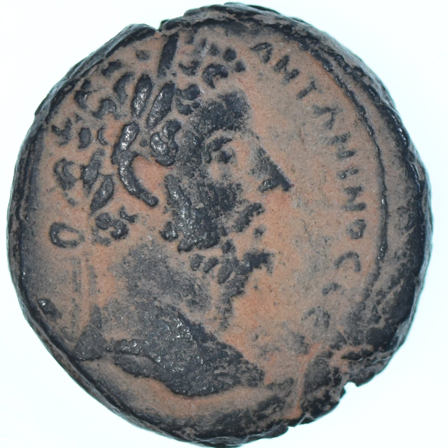 minca, 
  
  Cyrrhestica, 
  
  Marcus Aurelius