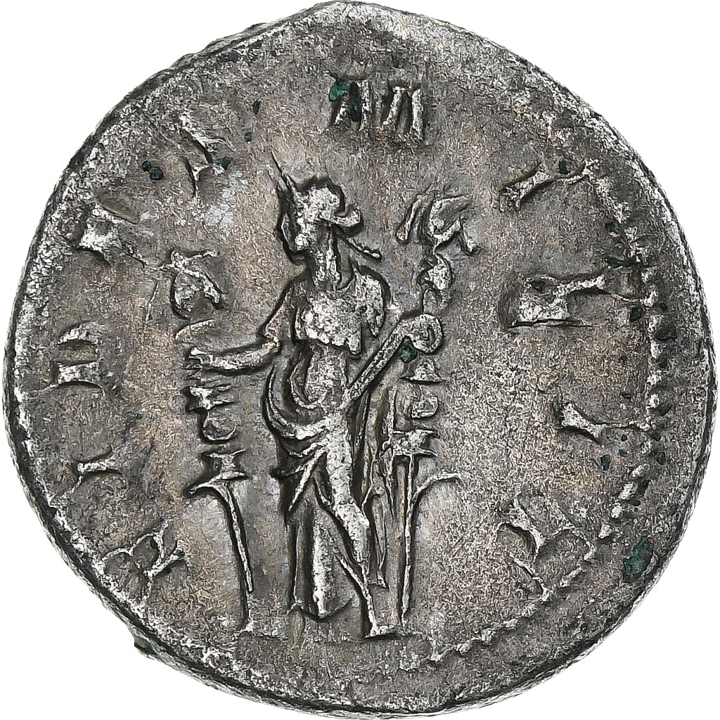 Filip I. 
  
  Antoninianus, 
  
  244