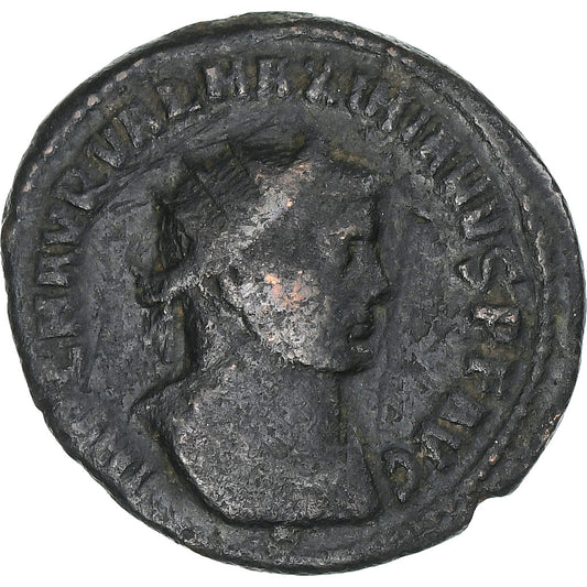 Maximianus, 
  
  Antoninianus, 
  
  295