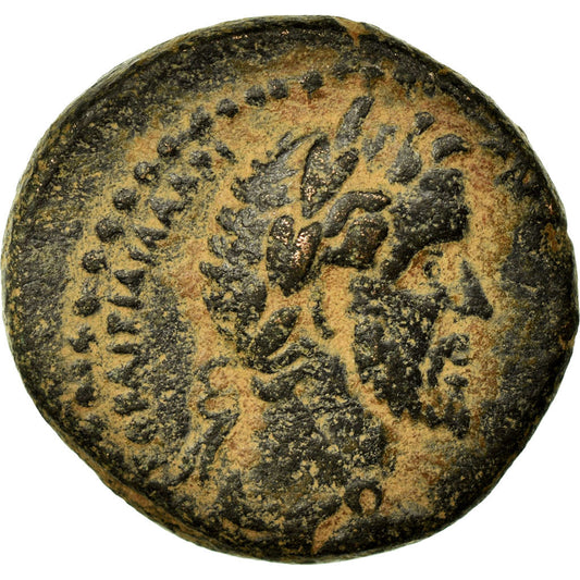 minca, 
  
  Cyrrhestica, 
  
  Antoninus Pius