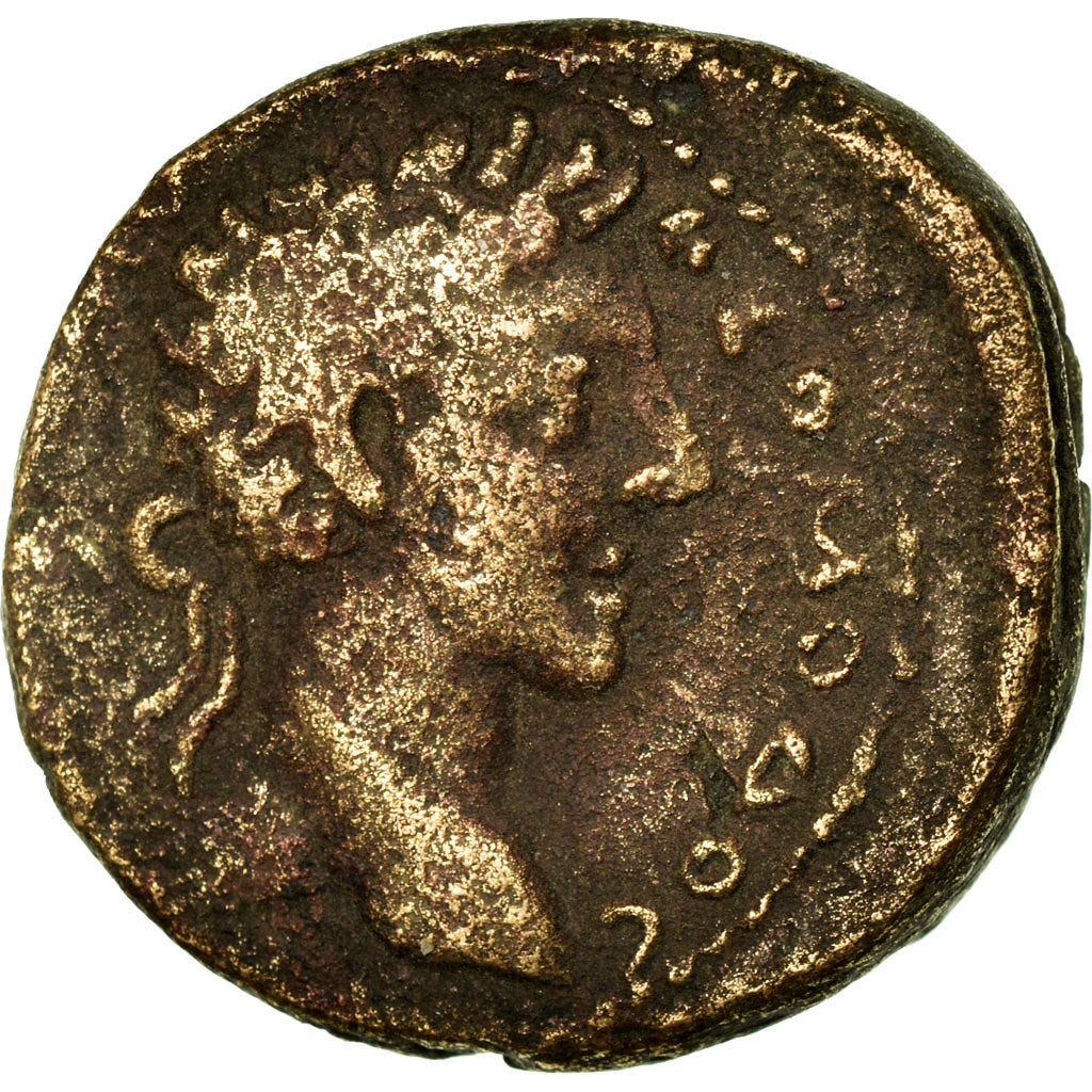 minca, 
  
  Cyrrhestica, 
  
  Commodus