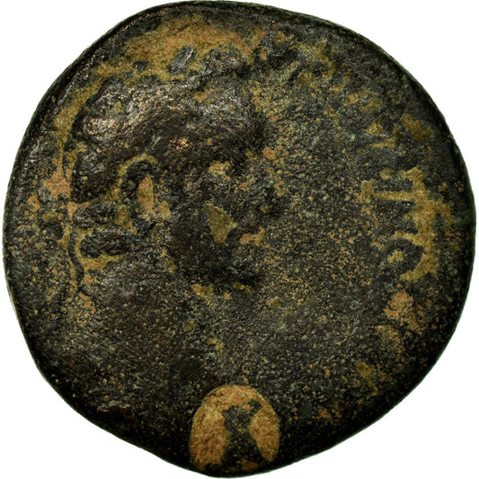 minca, 
  
  Seleucis a Pieria, 
  
  Antoninus Pius