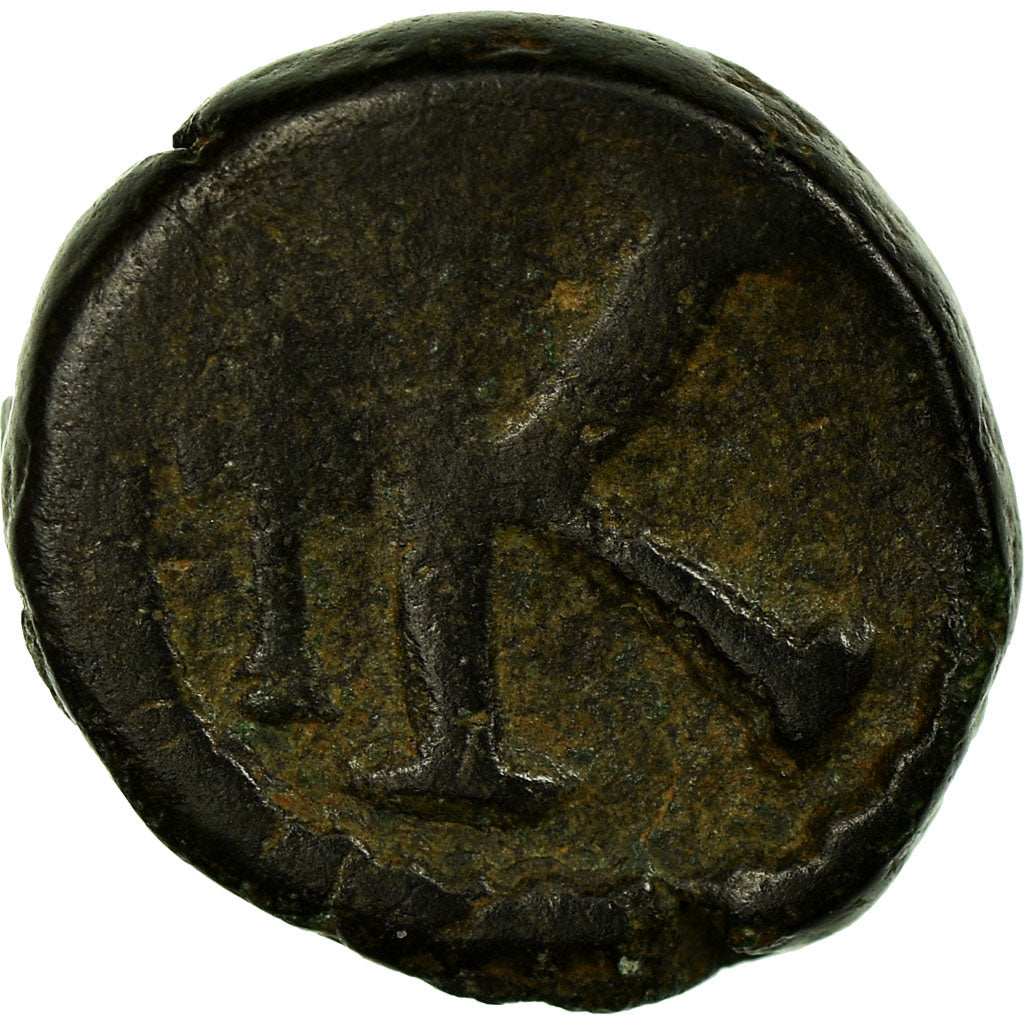 minca, 
  
  Anastasius I. 
  
  Polovičný Follis