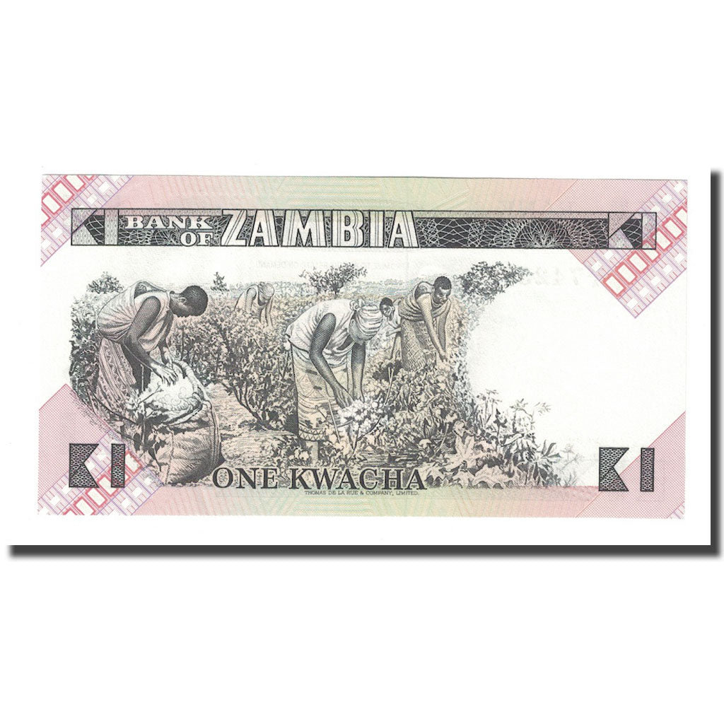 bankovka, 
  
  Zambia, 
  
  1 Kwacha