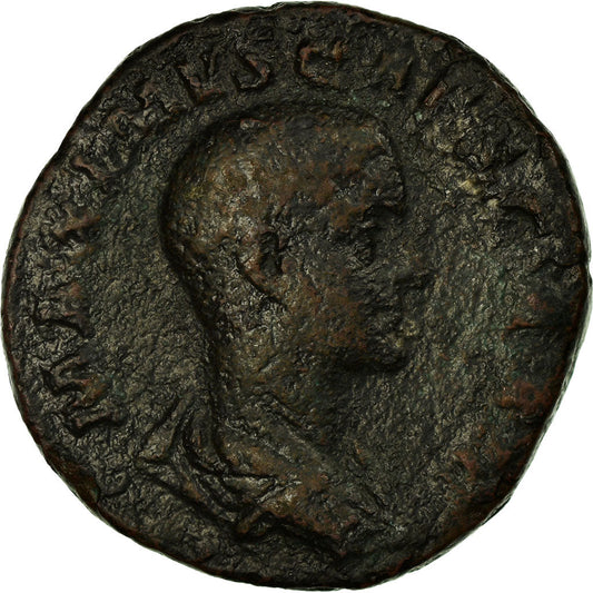 minca, 
  
  Maximus, 
  
  Sestertius