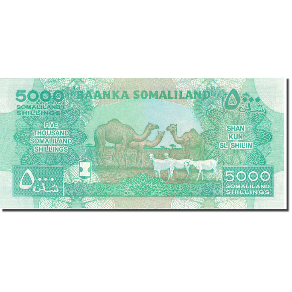 bankovka, 
  
  Somaliland, 
  
  5000 šilingov