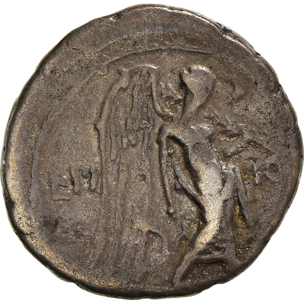 minca, 
  
  Calpurnia, 
  
  Quinarius