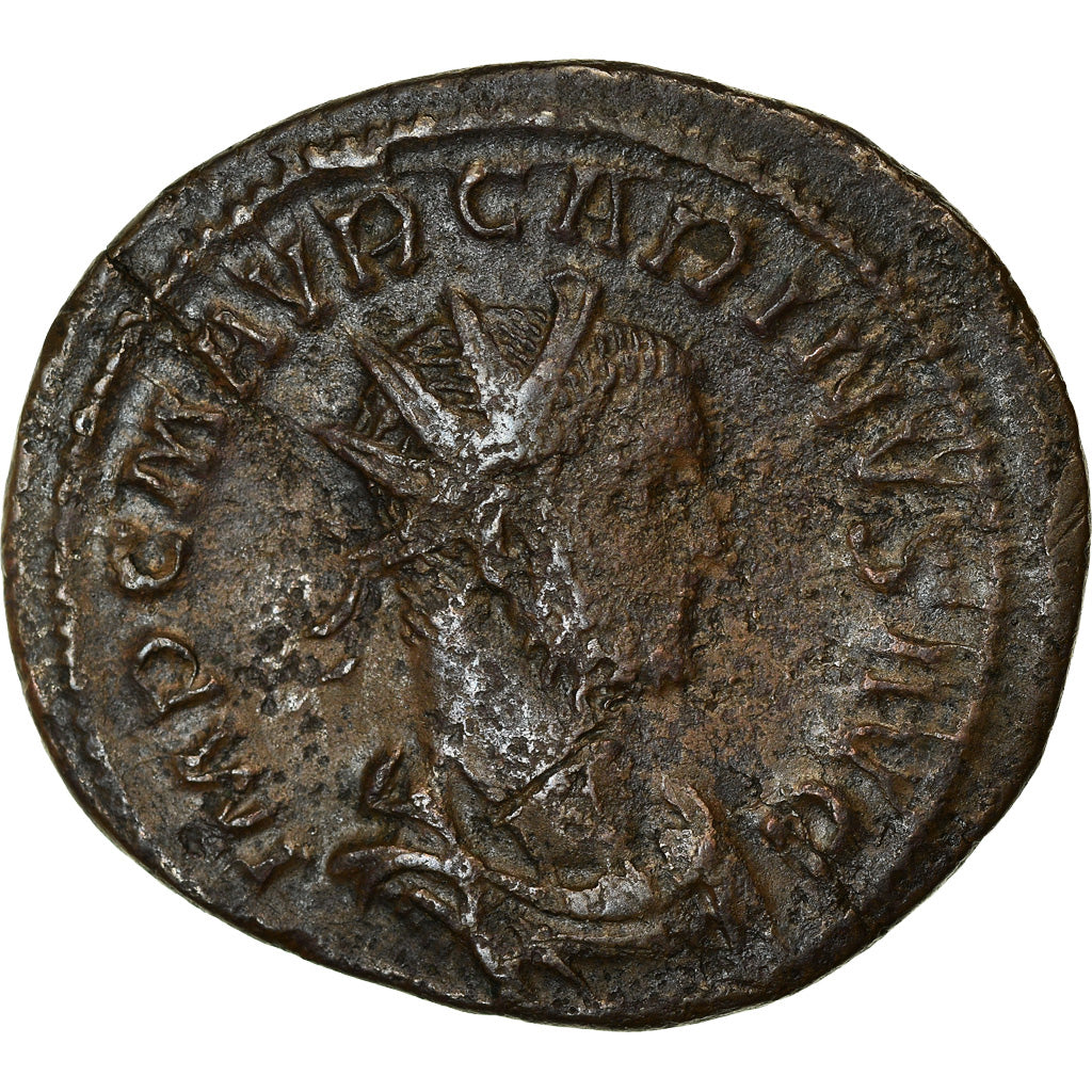 minca, 
  
  Carinus, 
  
  Antoninianus